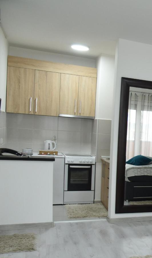 Apartmani Sofronic Loznica 2 외부 사진